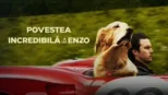thumbnail - Povestea incredibilă a lui Enzo