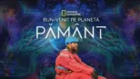 thumbnail - Bun Venit Pe Planeta Pământ