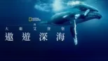 thumbnail - 與大衛艾登堡遨遊深海