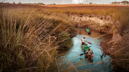 Au coeur de l'Okavango