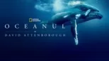thumbnail - Oceanul cu David Attenborough